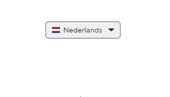 MyParcelParcel is beschikbaar in the Nederlands of Engels