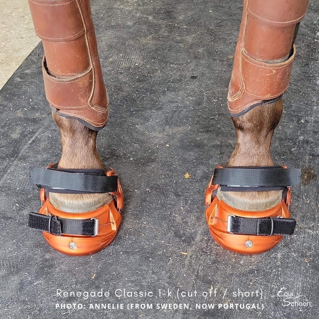 Close-up van de voorbenen van een paard met koperkleurige Renegade hoefschoenen voorzien van zwarte banden, gecombineerd met lederen beenbeschermers.