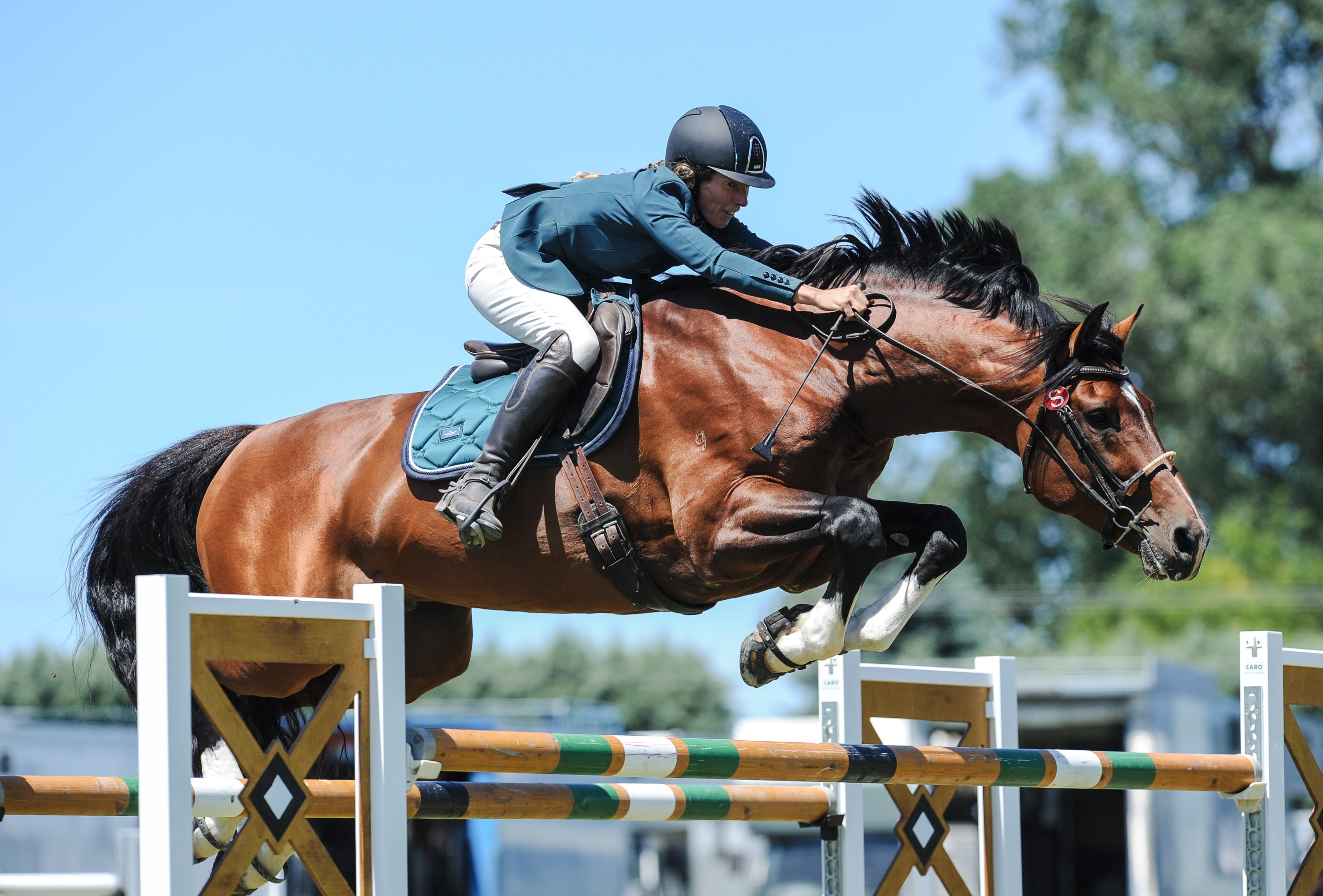 Een springpaard en ruiter in actie vliegend over een hindernis; het paard draagt hoefschoenen ter ondersteuning tijdens de topsport.