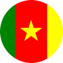 Cheap parcel delivery to Cameroon