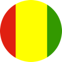 Cheap parcel delivery to Guinea