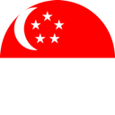 Cheap parcel delivery to Singapore
